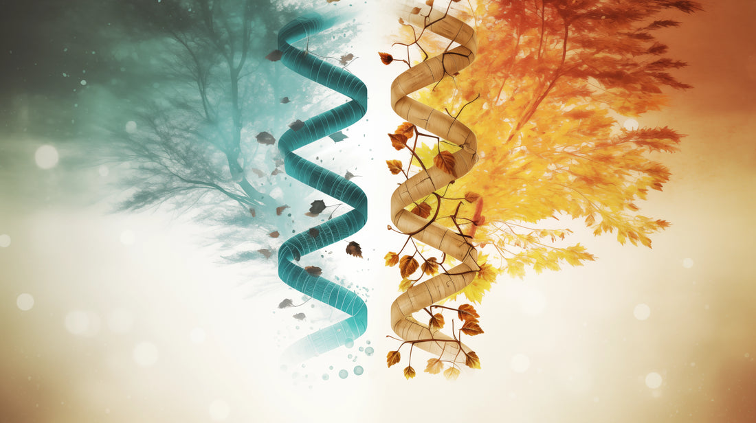 Can You Reverse Your Biological Age? Unveiling the Truth